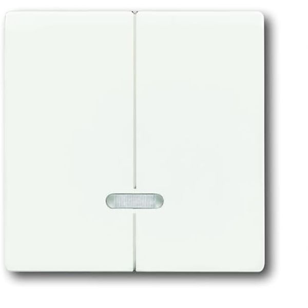 6545-884 CoverPlates (partly incl. Insert) future®, Busch-axcent®, carat® studio white matt image 1