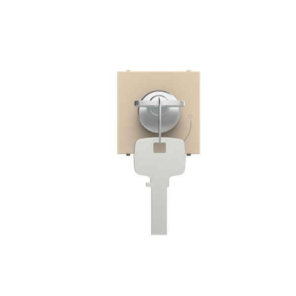 N2253.2 CV Key pushbutton Champagne - Zenit image 1