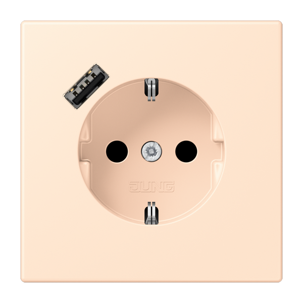 SCHUKO socket with USB charger LC32123 LC1520-18A238 image 1