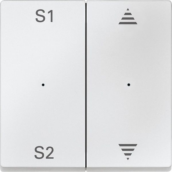 Rockers for button module 2-fold (scene 1/2, arrows up/down), polar white, system M image 1