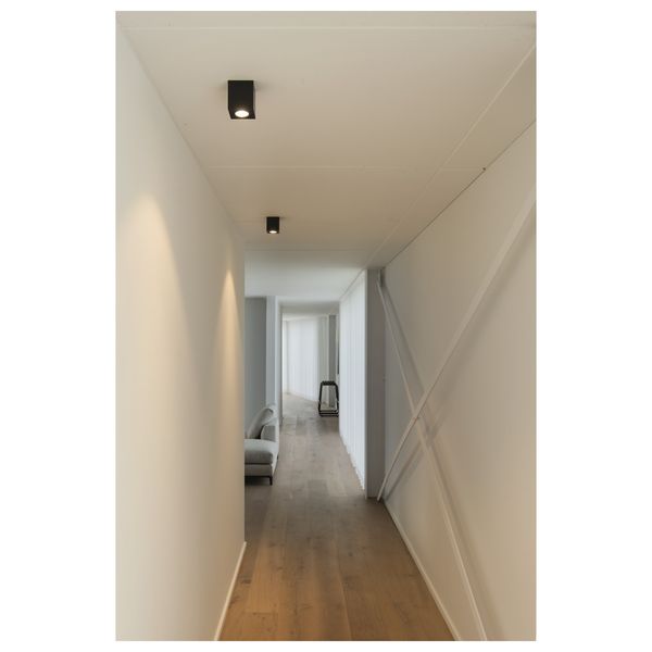 TRILEDO CL, indoor surface-mounted ceiling light, round, QPAR51, black, max 10W image 3