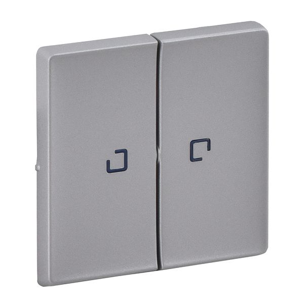 Cover plate Valena Life - 2-gang illuminated / with indicator - aluminium image 1