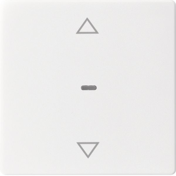 Cover arrow for 1gang for push-button m, clearlens, Q.1/Q.3, p. white  image 3