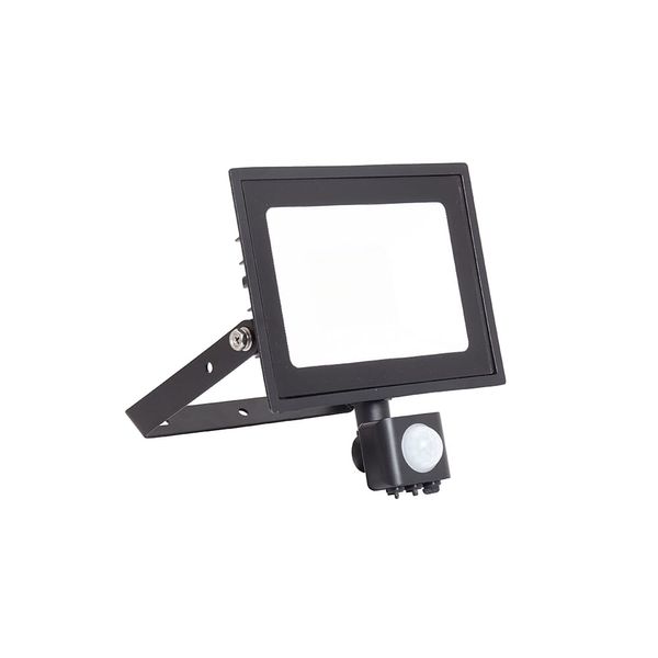 Eden Floodlight 30W PIR Cool White image 1