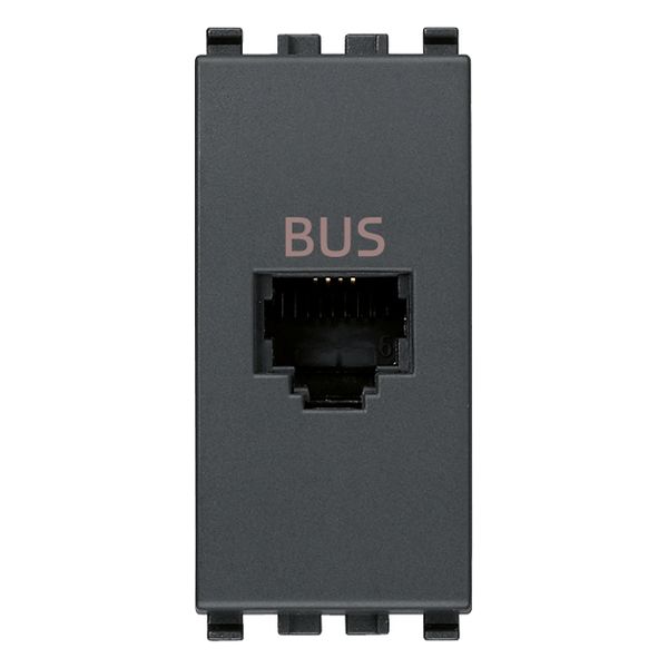 BUS RJ11phone jack grey image 1