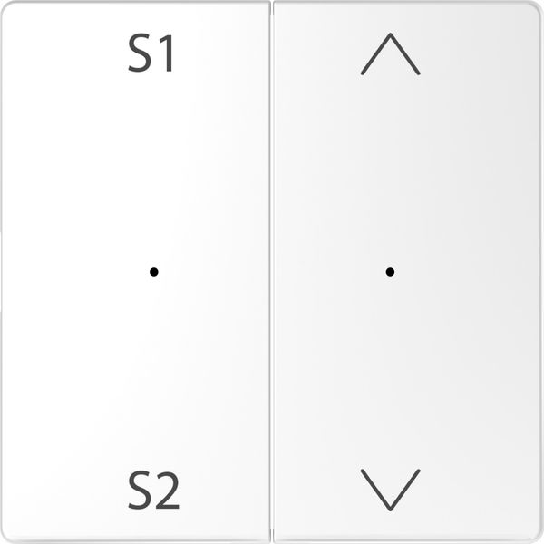 Rocker PBmod.2g(S1/S2+blank)lw SDsg image 1