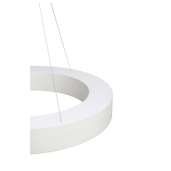 MEDO 60 RING PENDANT, white, 3000K SMD LED, incl. driver image 6