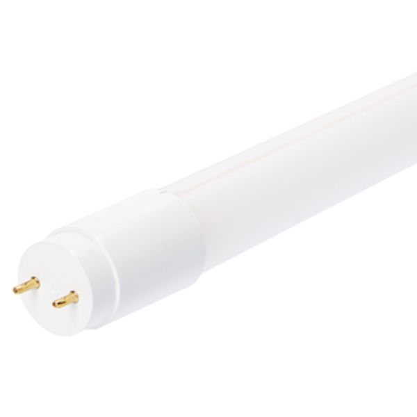 LED TL Tube - T8 60cm G13 7.5W 1125lm 6500K 220° image 1