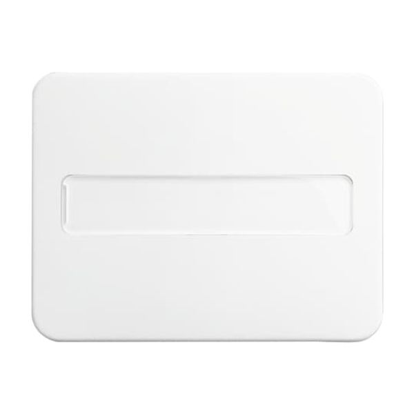 2106-34 CoverPlates (partly incl. Insert) carat® Alpine white image 5