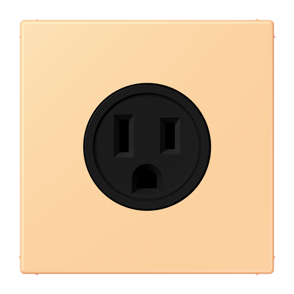 Socket US NEMA system LC4320P LC521-15258 image 1