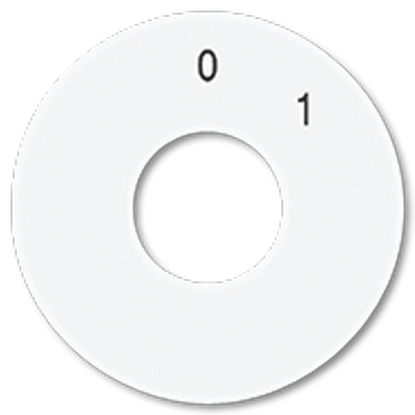 Spare scale disc SKS1101-20WW image 4