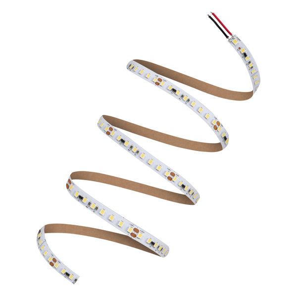 LED STRIP P 2000 -2000/930/5 image 5