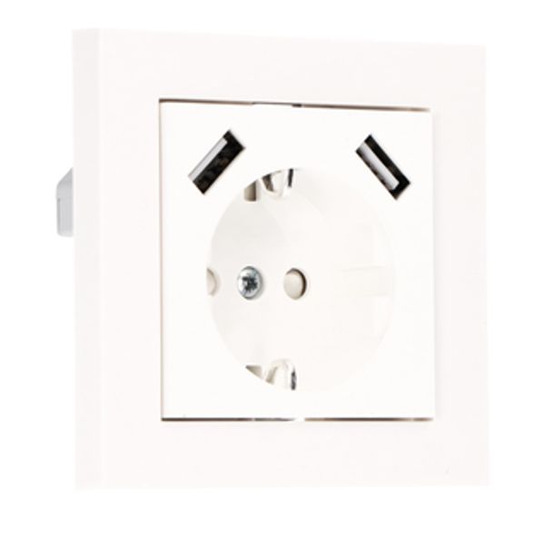 Pro Charge USB Socket - 2x USB-A 3.4A- 55x 55mm - RAL9010 image 1