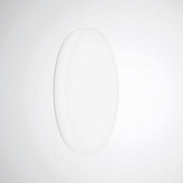 Wall and ceiling luminaire Olisq R Diffuser White around ETDD 42W 6000lm Lambertian (L) IP40 IK03 3 SDCM image 1