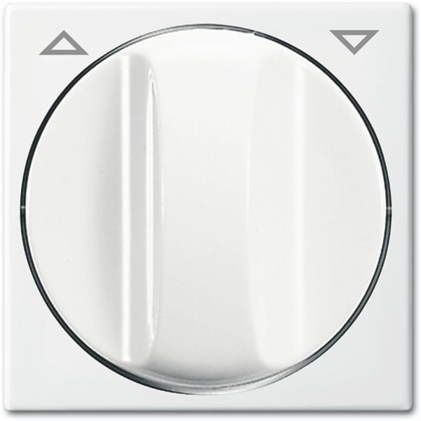 2542 DR-914 CoverPlates (partly incl. Insert) Busch-balance® SI Alpine white image 1