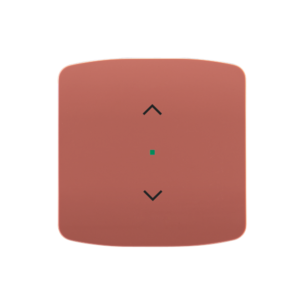 1228.01 RJ 12-6 Modular-Jack communication insert (keystone) image 3