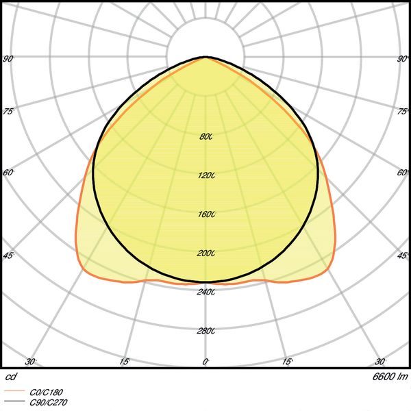 MD16 image 4