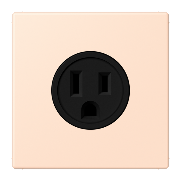 Socket US NEMA system LC32091 LC521-15228 image 1