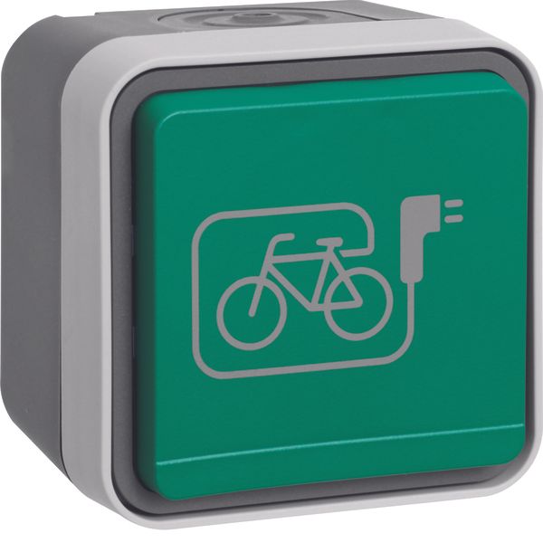 SCHUKO soc.out. green hinged cover+imprinted symb. e-bike, W.1, grey/  image 2