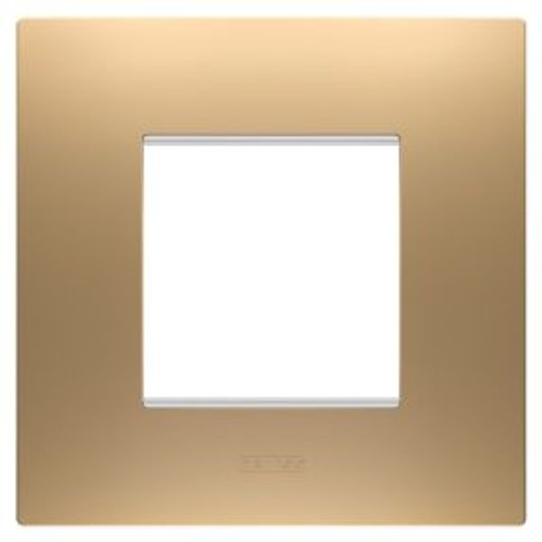 EGO INTERNATIONAL PLATE - IN PAINTED TECHNOPOLYMER - 2 MODULES - GOLD - CHORUSMART image 1