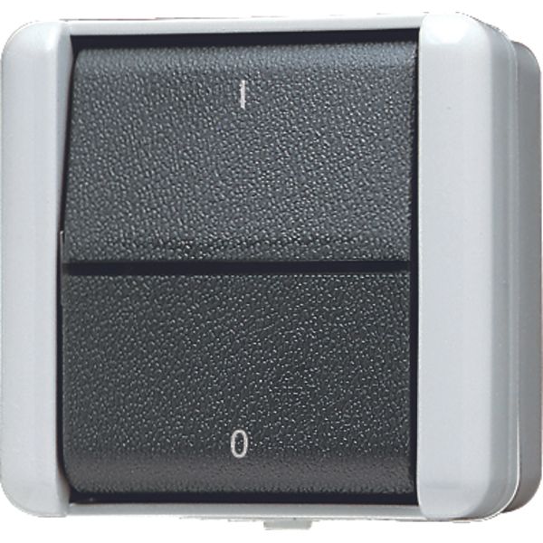 1-gang switch 10 AX / 250 V ~ 802W image 1