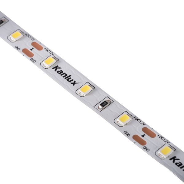 L60 11W/M 12 IP00-CW LED tape image 2