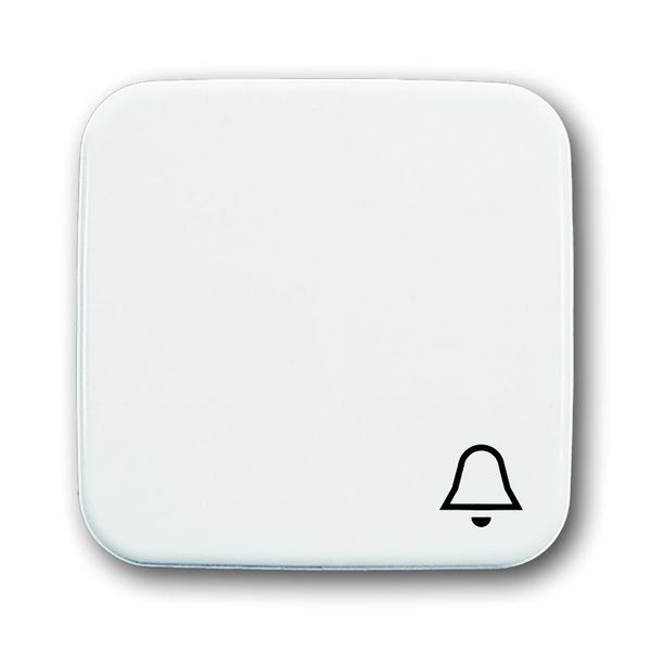 2520 KI-214 CoverPlates (partly incl. Insert) carat® Alpine white image 1