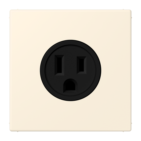 Socket US NEMA system LC4320B LC521-15245 image 1