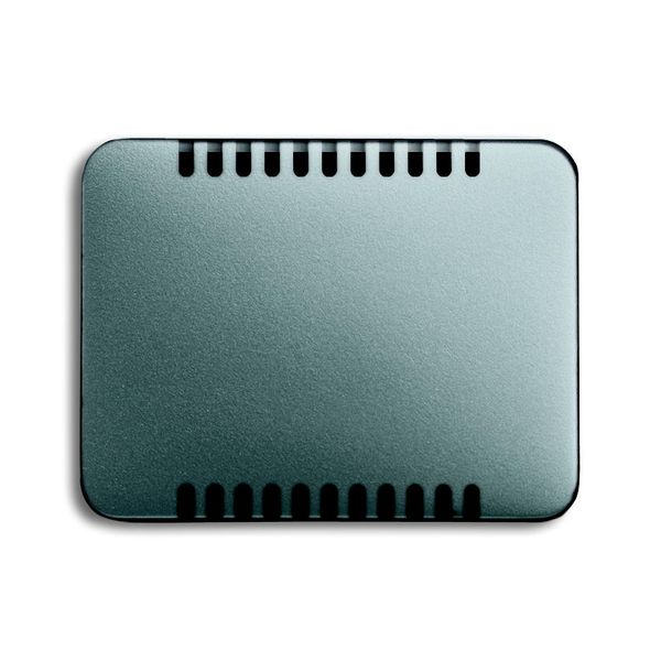 6541-266 CoverPlates (partly incl. Insert) carat® titanium image 1