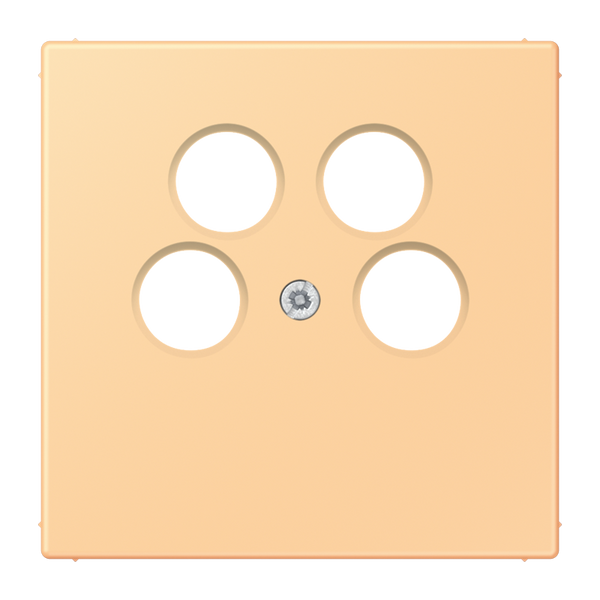 Cover plate for SAT-TV socket Ankaro LC4 LC990-4SAT2258 image 1