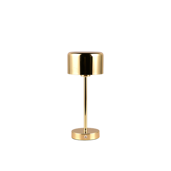 Jeff LED table lamp polished brass rechargeable image 1