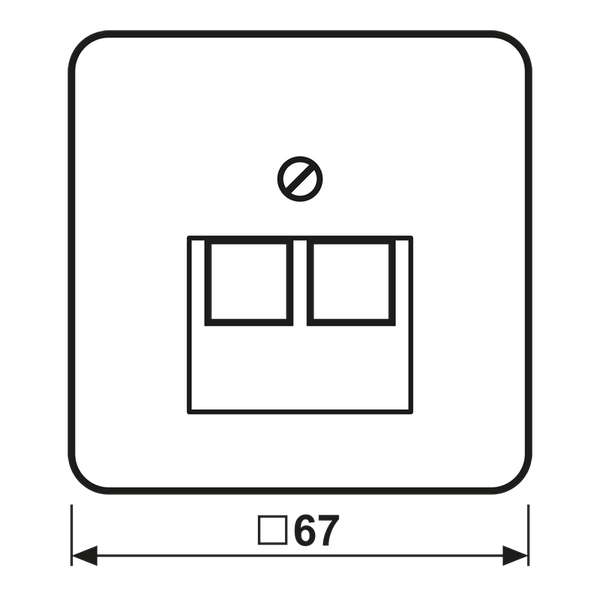 Centre plate for 2-gang modular jack 569-2UA image 3