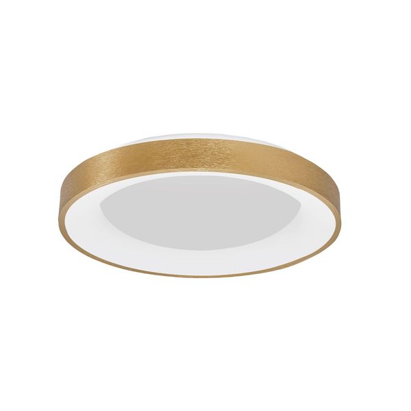 Triac Dimmable Brushed Gold Aluminium   & Acrylic  LED 50 Watt 230 Volt  2864Lm 3000K IP20  D: 60 H: 9 cm image 1