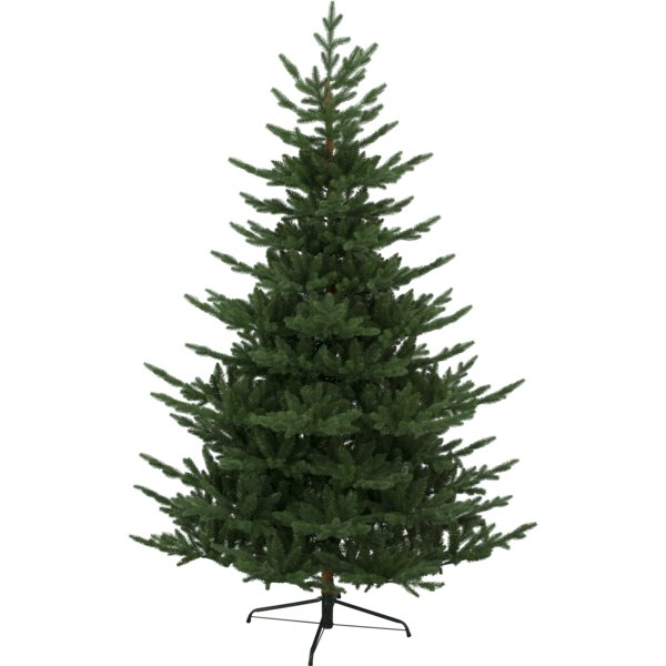 Christmas Tree Brekstad image 1