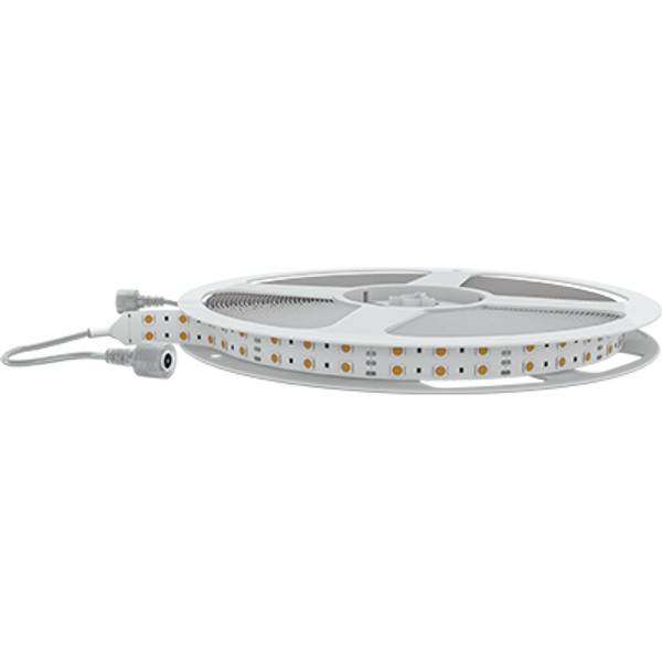 LED Strip 19.2W/M 12Vdc 6400K IP68 5M iLight image 1