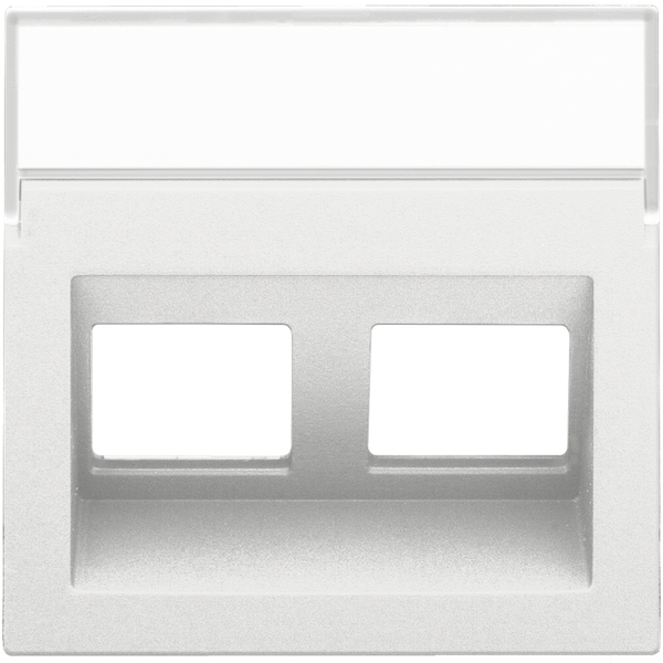 Central plate data 2x RJ oblique output, white coated image 1