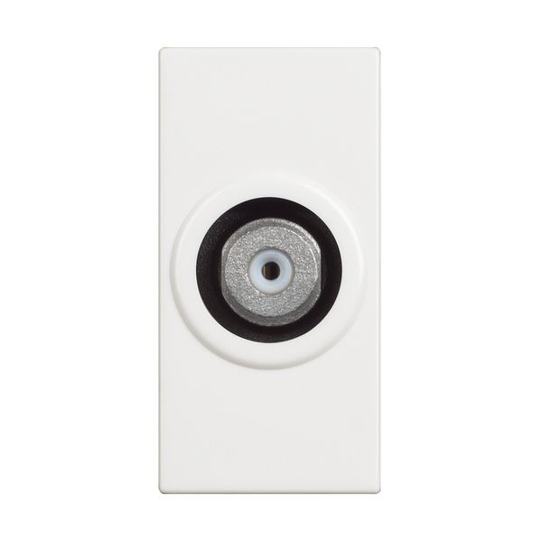 CLASSIA - COAXIAL SAT SOCKET F-TYPE WHITE image 1