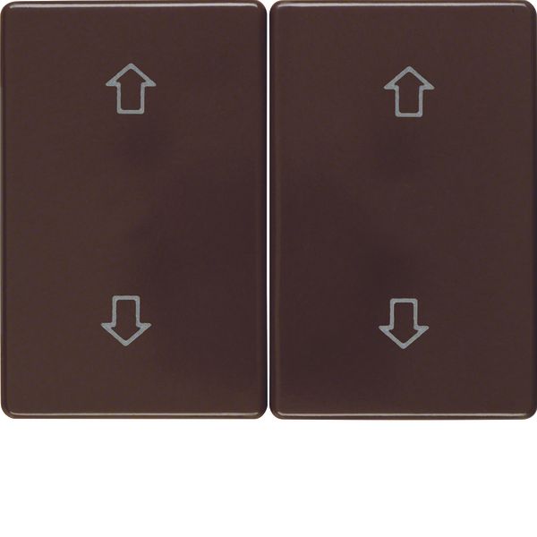 Rocker 2gang imprinted arrows symbol, arsys, brown glossy image 1