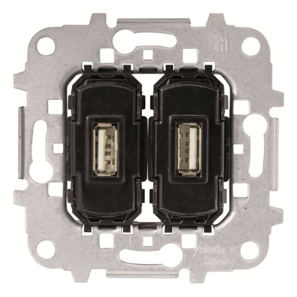 8185.3 USB charger 2x 2.000mA, 2 outlets Breakout cable image 1