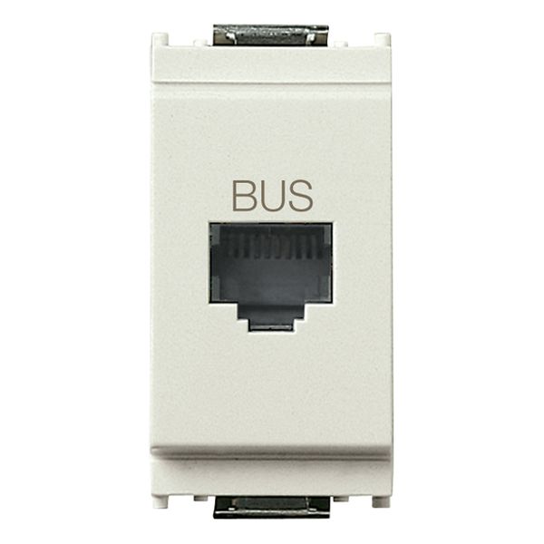 BUS RJ11phone jack white image 1