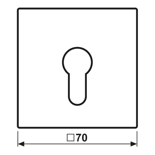 Centre plate f. key switch LS925SWM image 2