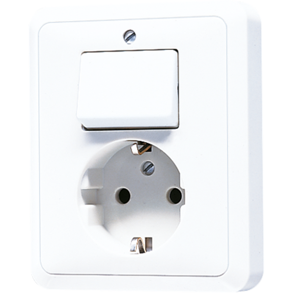 Combination SCHUKO® socket / 1-gang 5576EUWW image 1