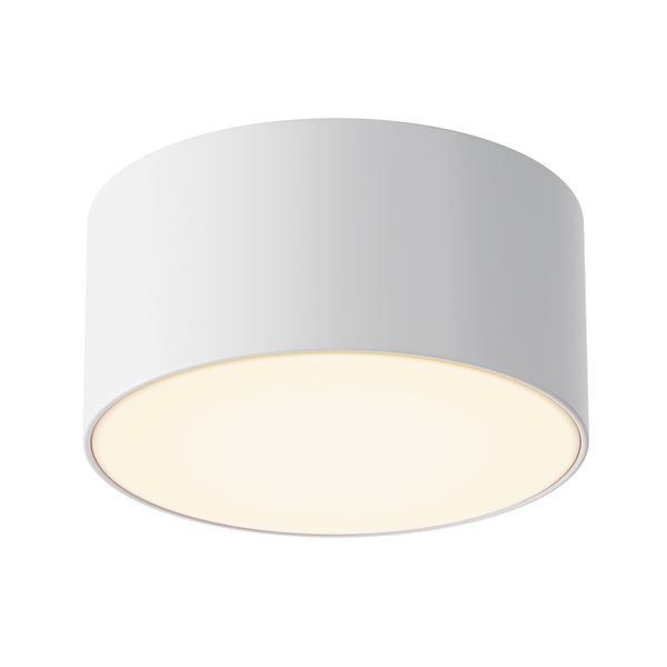 Outdoor Zon IP Ceiling lamp White image 1