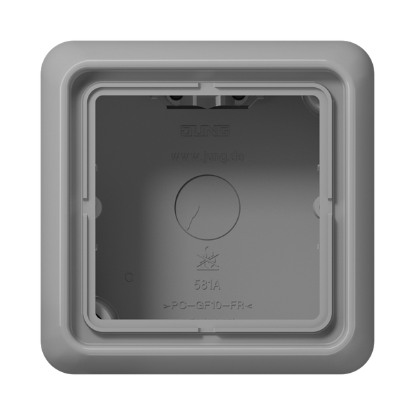 Spec.Surface Cap w. integr. frame 1-gang CD581AGR image 1