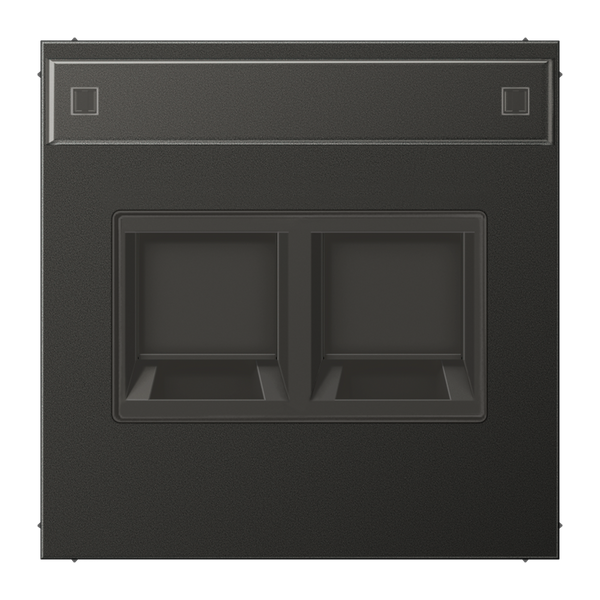 Centre plate for MJ f. 2 sockets AL1969-2NAWEAN image 1