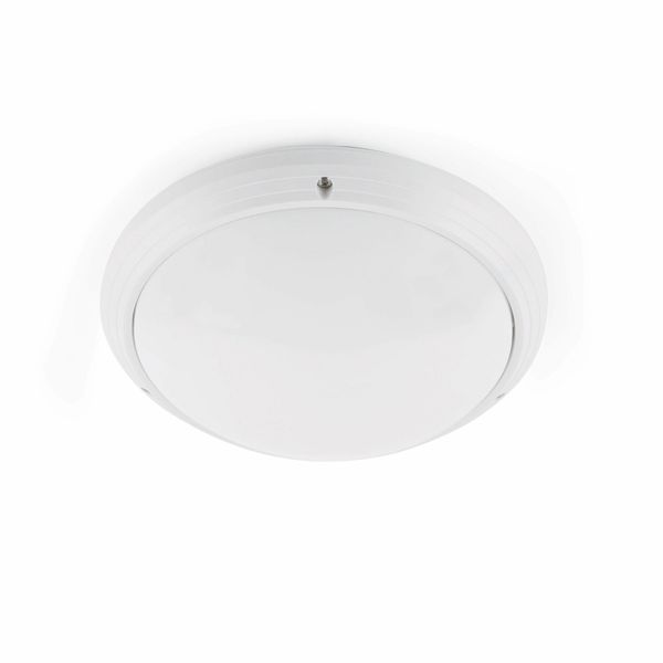 DAKRON WHITE CEILING LAMP 1 X E27 40W image 1