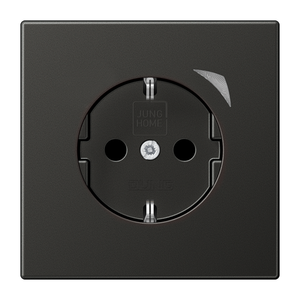 JUNG HOME SCHUKO socket BTAL1521SAN-L image 1