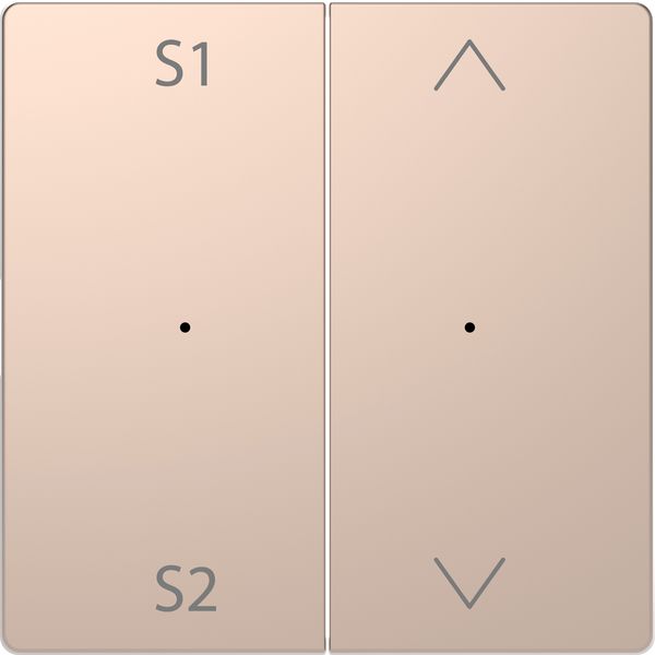 Rocker PBmod.2g(S1/S2+blank)chm SDsg image 1