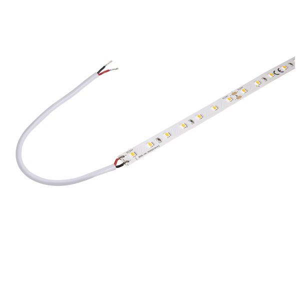 GRAZIA FLEXSTRIP LED 24V 10mm 5m 700lm/m 2700K image 1