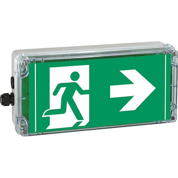 Ex-escape sign luminaires EXIT V-CG-S for emergency light function for zone 1/21, Pictogram: DIN ISO 7010, Arrow: 3 Clock image 3